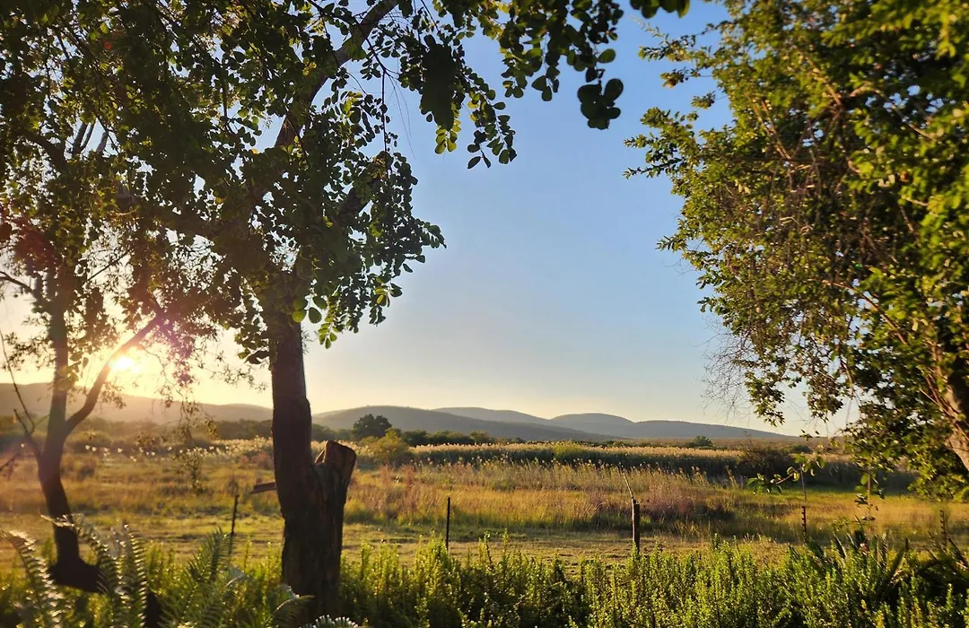 Laughing Dove Boutique Hotel-1